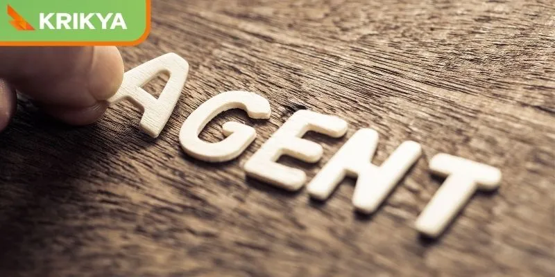 Basic conditions for KRIKYA agent cooperation