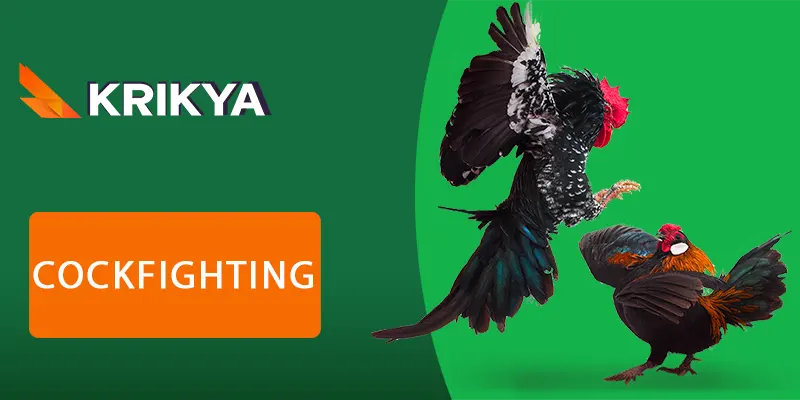 cockfighting